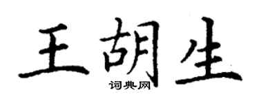 丁谦王胡生楷书个性签名怎么写