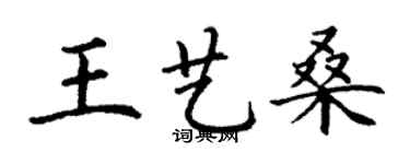 丁谦王艺桑楷书个性签名怎么写