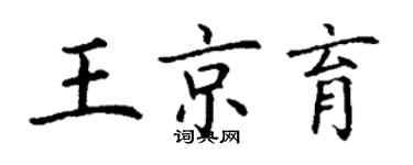 丁谦王京育楷书个性签名怎么写