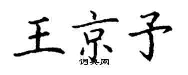 丁谦王京予楷书个性签名怎么写