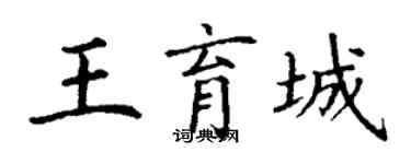 丁谦王育城楷书个性签名怎么写