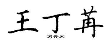 丁谦王丁苒楷书个性签名怎么写
