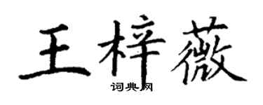 丁谦王梓薇楷书个性签名怎么写