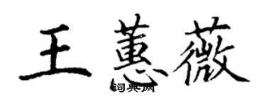 丁谦王蕙薇楷书个性签名怎么写