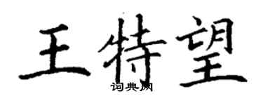 丁谦王特望楷书个性签名怎么写