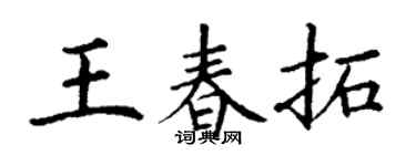 丁谦王春拓楷书个性签名怎么写