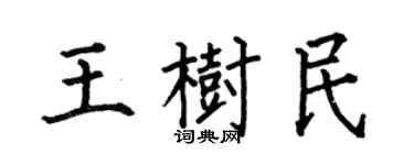 何伯昌王树民楷书个性签名怎么写