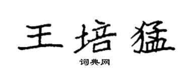 袁强王培猛楷书个性签名怎么写