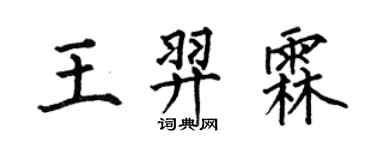 何伯昌王羿霖楷书个性签名怎么写
