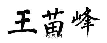 翁闿运王苗峰楷书个性签名怎么写