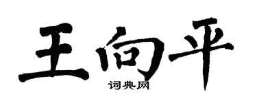 翁闿运王向平楷书个性签名怎么写