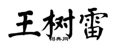 翁闿运王树雷楷书个性签名怎么写