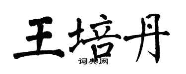 翁闿运王培丹楷书个性签名怎么写