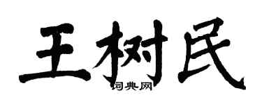 翁闿运王树民楷书个性签名怎么写
