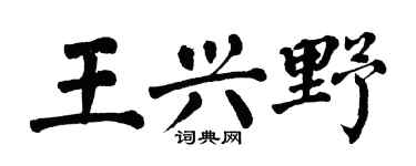 翁闿运王兴野楷书个性签名怎么写