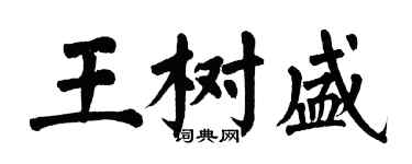 翁闿运王树盛楷书个性签名怎么写