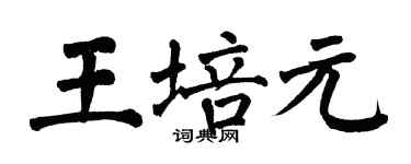 翁闿运王培元楷书个性签名怎么写