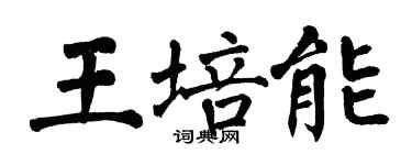 翁闿运王培能楷书个性签名怎么写