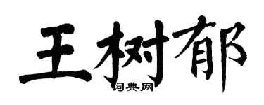 翁闿运王树郁楷书个性签名怎么写