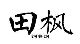 翁闿运田枫楷书个性签名怎么写