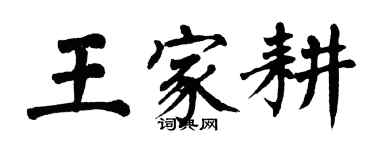 翁闿运王家耕楷书个性签名怎么写