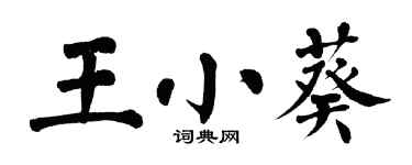 翁闿运王小葵楷书个性签名怎么写