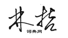 骆恒光林哲草书个性签名怎么写