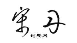 骆恒光宋丹草书个性签名怎么写