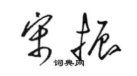 骆恒光宋振草书个性签名怎么写