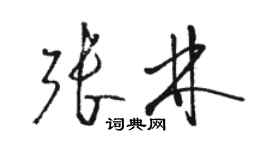 骆恒光张林草书个性签名怎么写