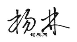 骆恒光杨林草书个性签名怎么写