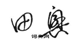 骆恒光田兴草书个性签名怎么写