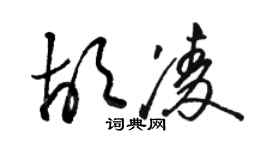 骆恒光胡凌草书个性签名怎么写