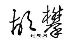 骆恒光胡攀草书个性签名怎么写