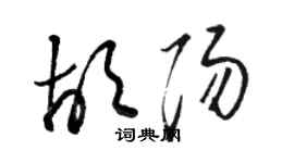 骆恒光胡阳草书个性签名怎么写