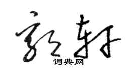 骆恒光郭轩草书个性签名怎么写