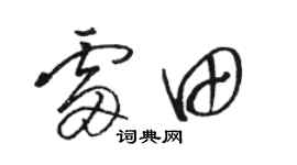 骆恒光雷田草书个性签名怎么写