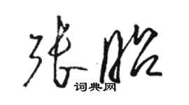 骆恒光张昭草书个性签名怎么写