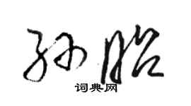 骆恒光孙昭草书个性签名怎么写