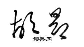 骆恒光胡昂草书个性签名怎么写