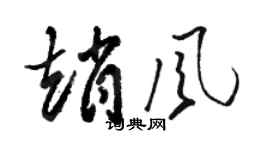 骆恒光赵风草书个性签名怎么写