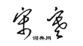 骆恒光宋寒草书个性签名怎么写