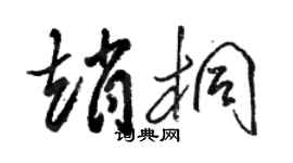骆恒光赵桐草书个性签名怎么写