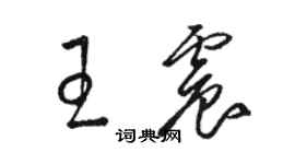 骆恒光王震草书个性签名怎么写