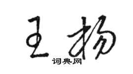 骆恒光王杨草书个性签名怎么写