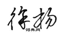 骆恒光徐杨草书个性签名怎么写