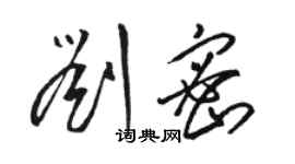 骆恒光刘密草书个性签名怎么写