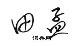 骆恒光田孟草书个性签名怎么写