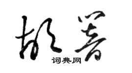 骆恒光胡响草书个性签名怎么写