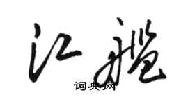 骆恒光江舰草书个性签名怎么写